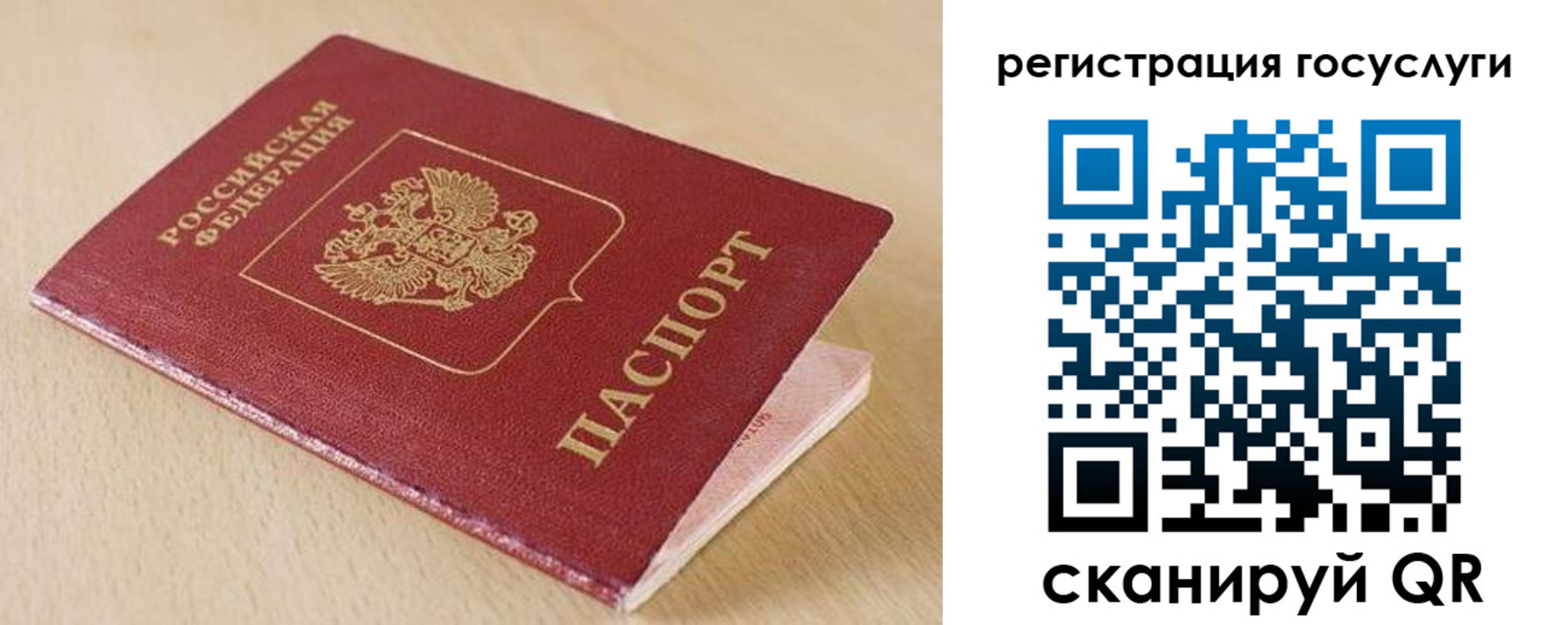 временная регистрация гарантия в Курской области