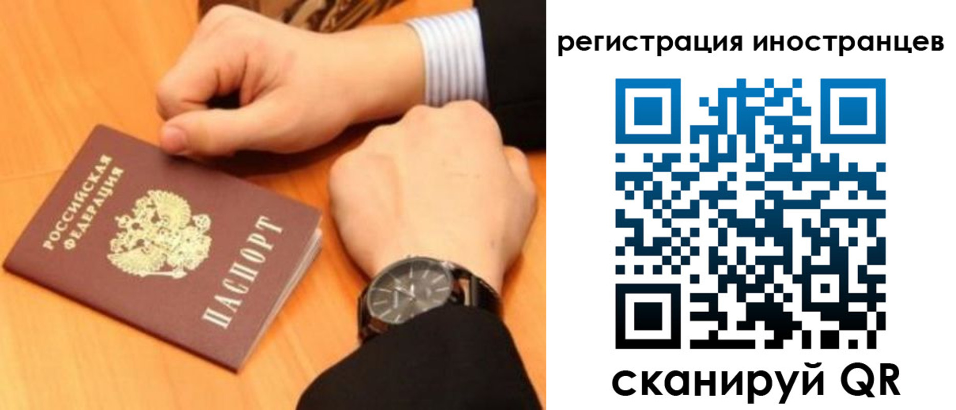 прописка гарантия в Курской области