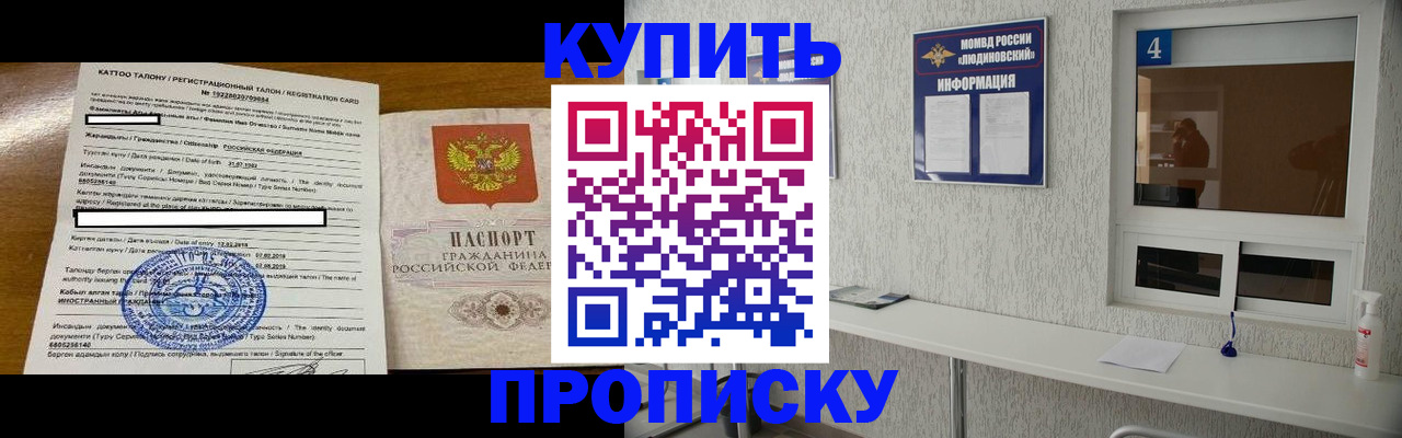 временная регистрация поиск в Курской области